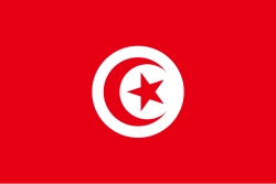  突尼斯 